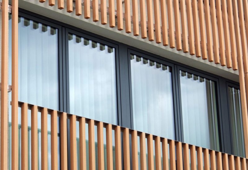 Sustainable wood building material for construction