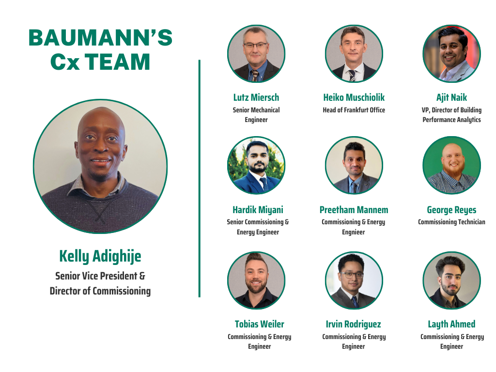 Meet the Commissioning team at Baumann Consulting