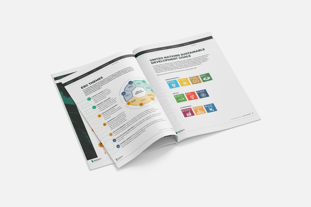 Baumann Consulting 2023 ESG Report Booklet